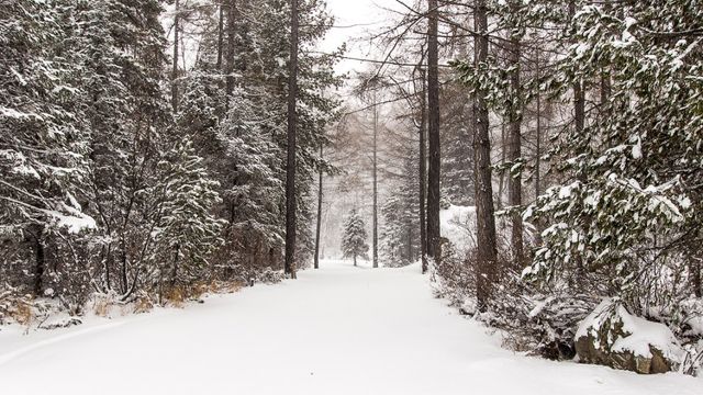 Як замерзає найглибше озеро у світі: дивовижні фото - фото 129732