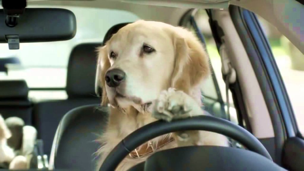 Країни, в яких правила дорожнього руху вражають