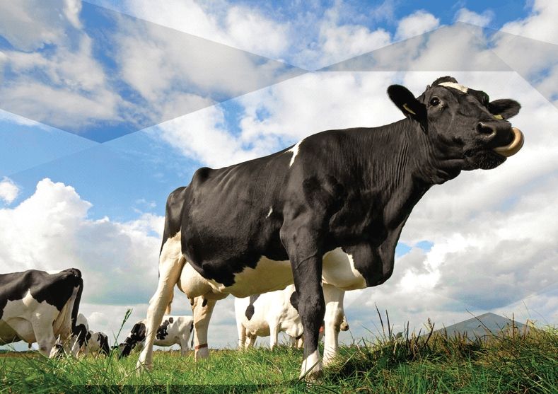 Вчені попереджають про різке зростання метану в атмосфері