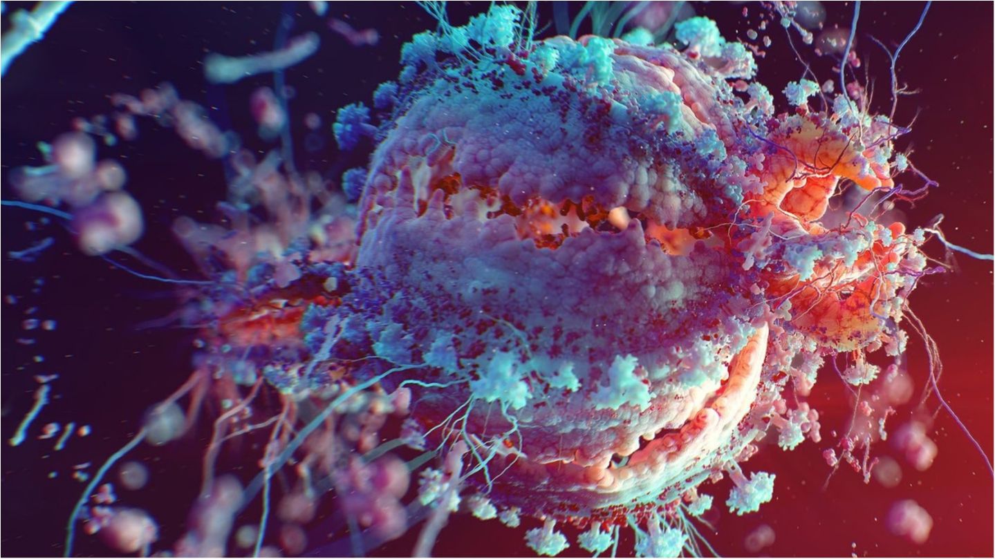 Вчені показали, яки виглядає флешмоб у бактерій