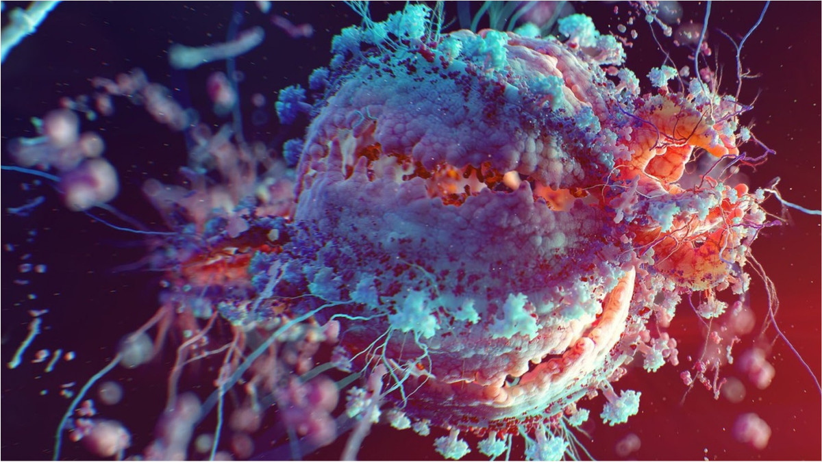 Вчені показали, яки виглядає флешмоб у бактерій - фото 1