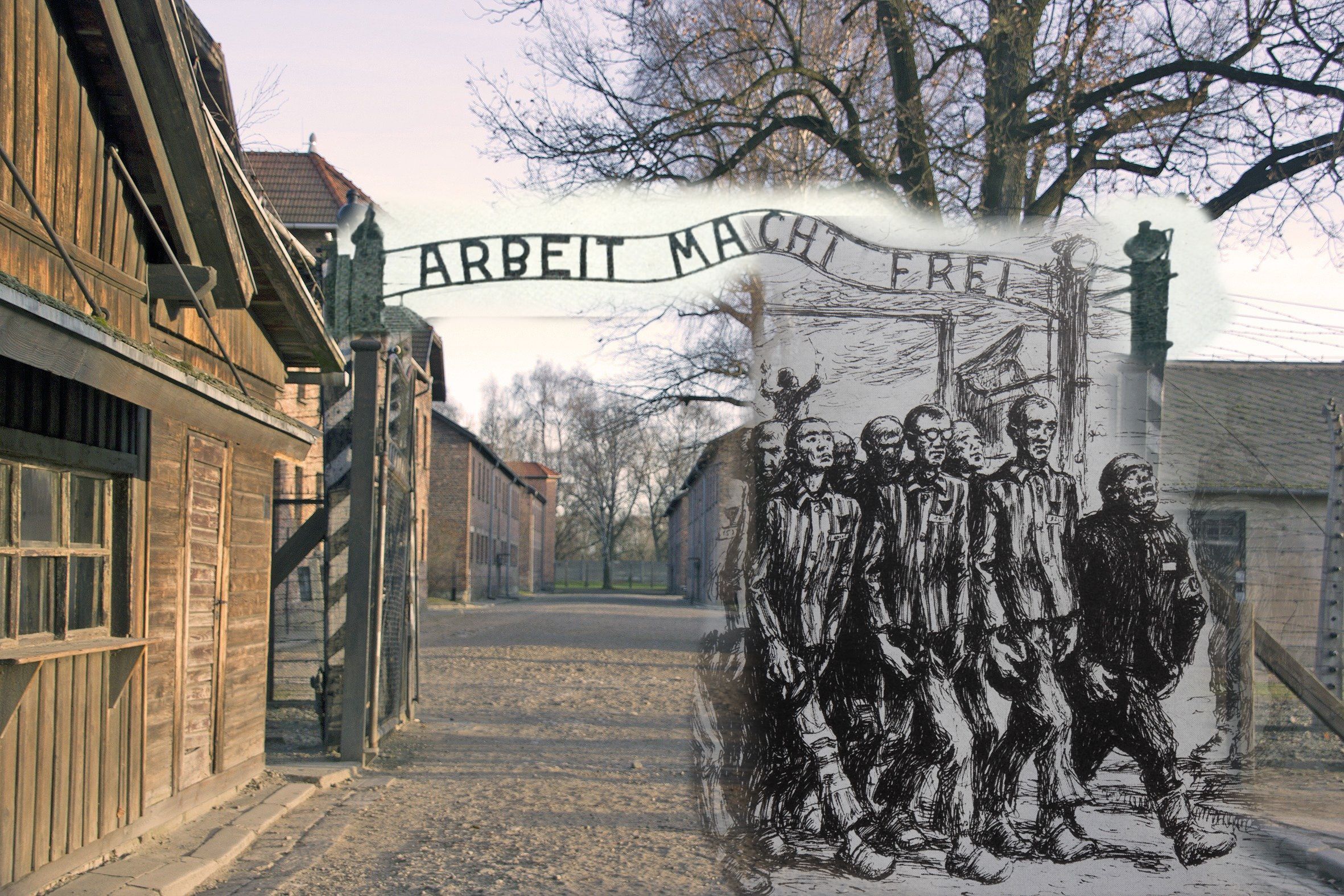 У Польщі створили базу даних наглядачів Освенцима