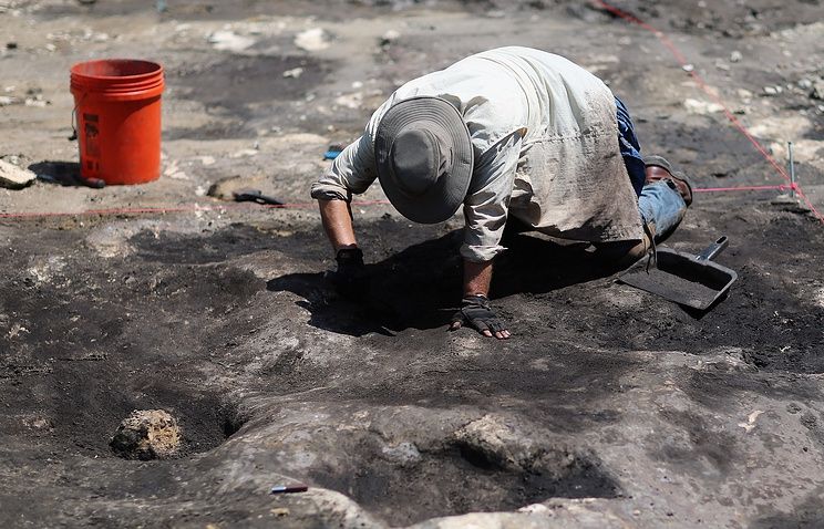 Учені виявили останки загадкової істоти, віком понад 500 мільйонів років