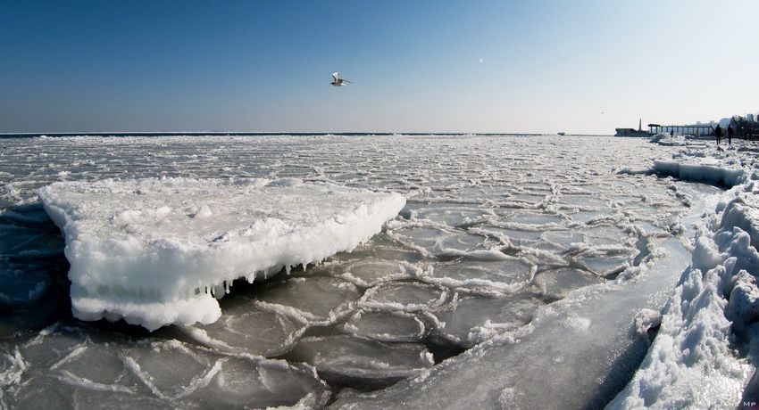 В Одесі замерзло море: з'явилося відео