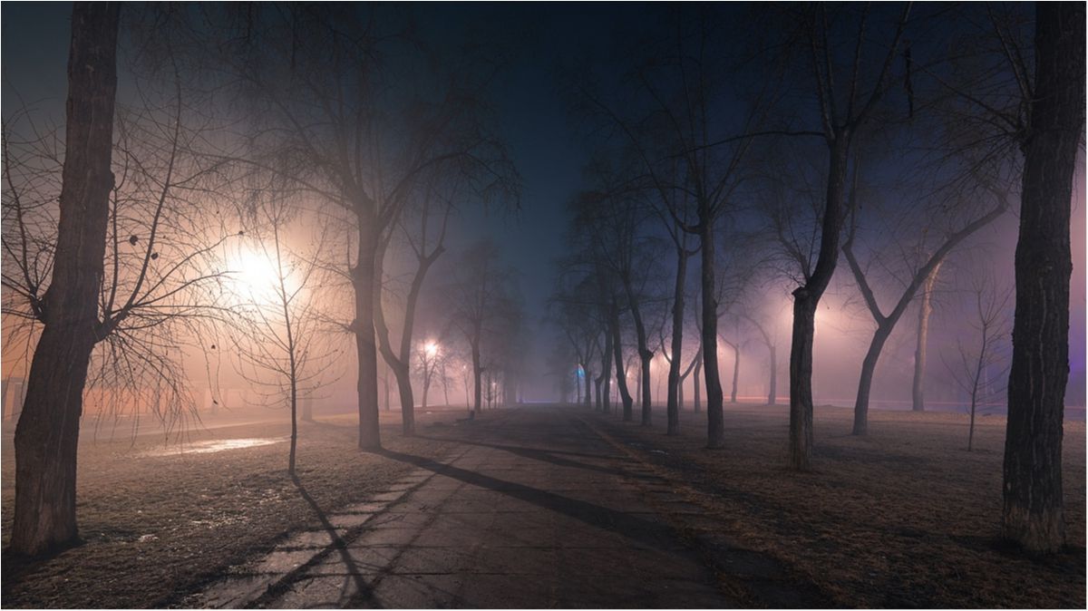 Синоптик пояснила, чому Київ накрило радіаційним туманом