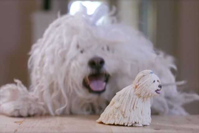 Цукерберг зробив 3D-копію своєї собаки