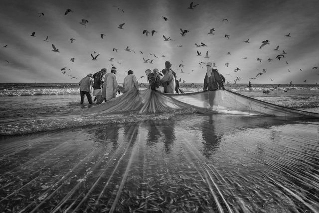 Опубліковано найкращі монохромні фото 2016 року - фото 137179