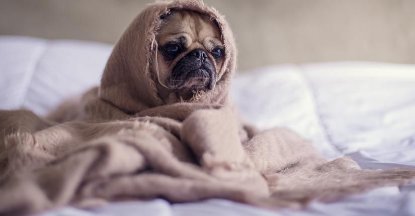 Вчені сказали, у яких людей виникають проблеми зі сном