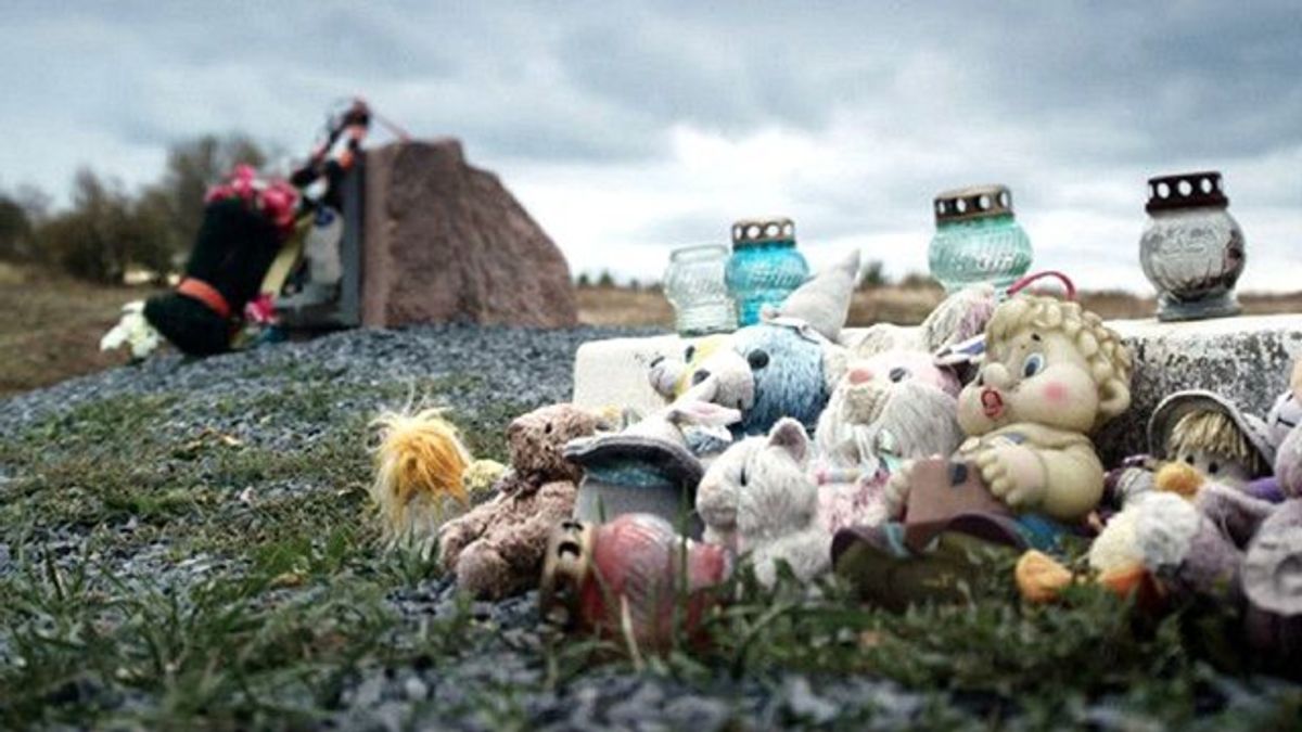 У журналістів з Нідерландів вилучили кістку пасажира MH17 - фото 1