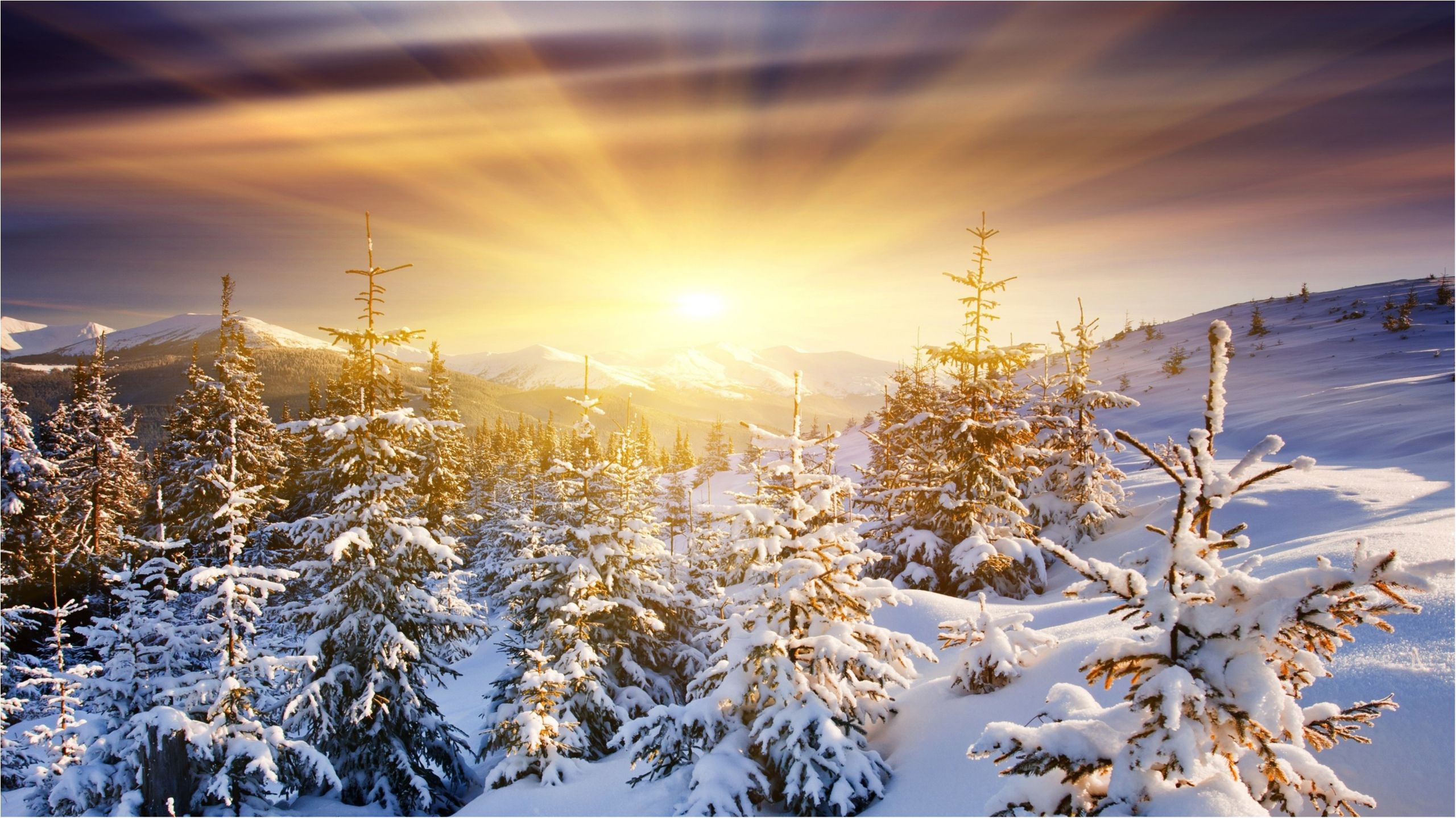 Синоптики кажуть, що сильні морози йдуть з України