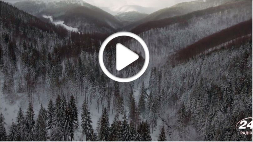 Мережу підкорило неймовірне відео засніжених Карпат із висоти