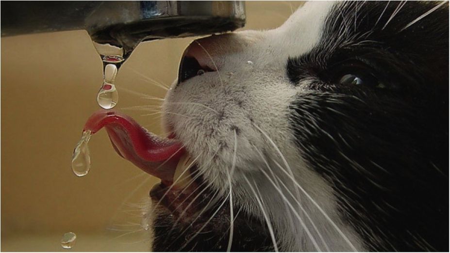 Україна відновила водопостачання на непідконтрольну Луганщину