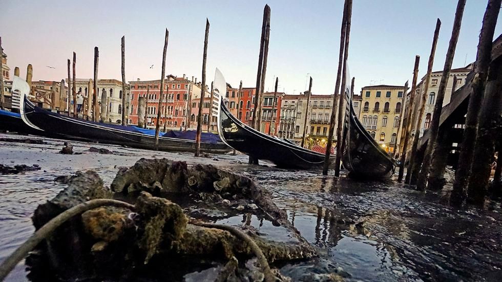 Венеція втратила воду: нові фото висохлого міста
