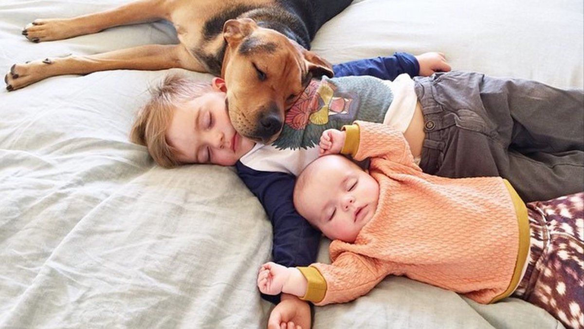 У якій країні сплять найдовше