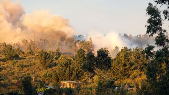 Масштабна лісова пожежа у Чилі: оголошено найвищий рівень небезпеки