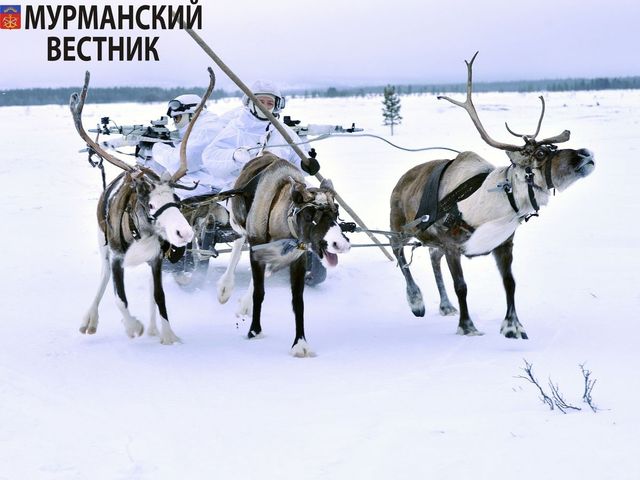 Іронія дня: Кузьмін гріб гроші лопатою - фото 136749