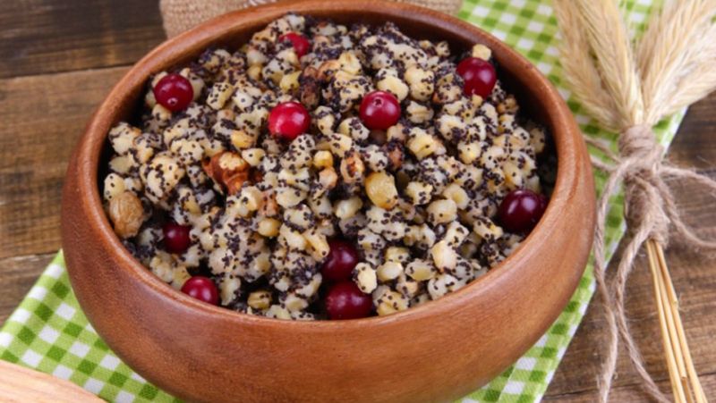 Кутя - фото 1