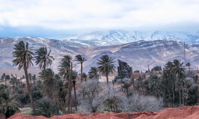 Неймовірні фото рідкісного снігу в Сахарі - фото 136443