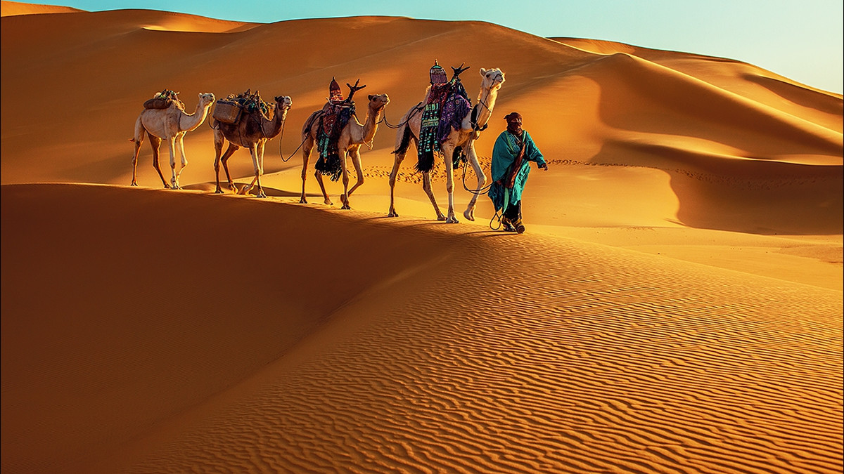 У мережі опублікували знімок каравану в крижаній пустелі - фото 1