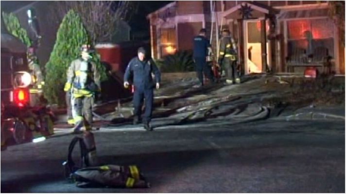 У США 68-кілограмова черепаха влаштувала пожежу в двох будинках