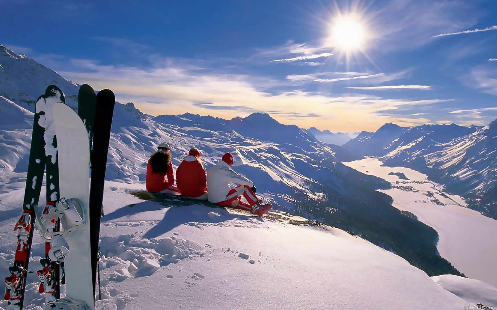 Карпатські праліси можуть зникнути за кілька років