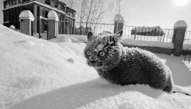 Синоптик попередила українців про повернення 25-градусних морозів