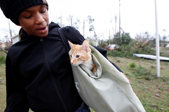 З'явились фото наслідків торнадо у США - фото 136413