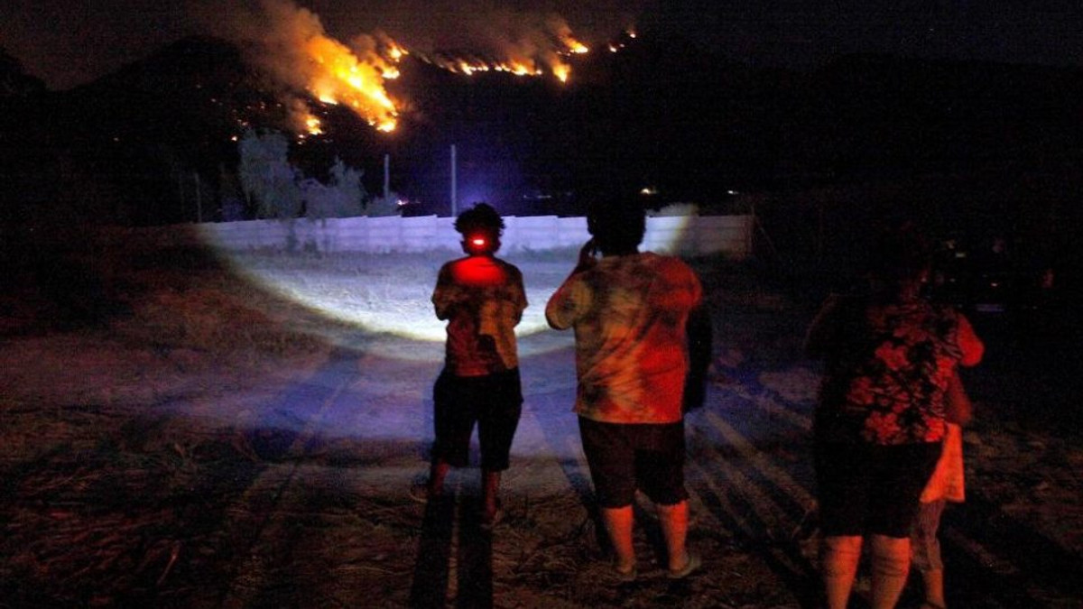 Масштабні пожежі у Чилі знищили ціле місто - фото 1