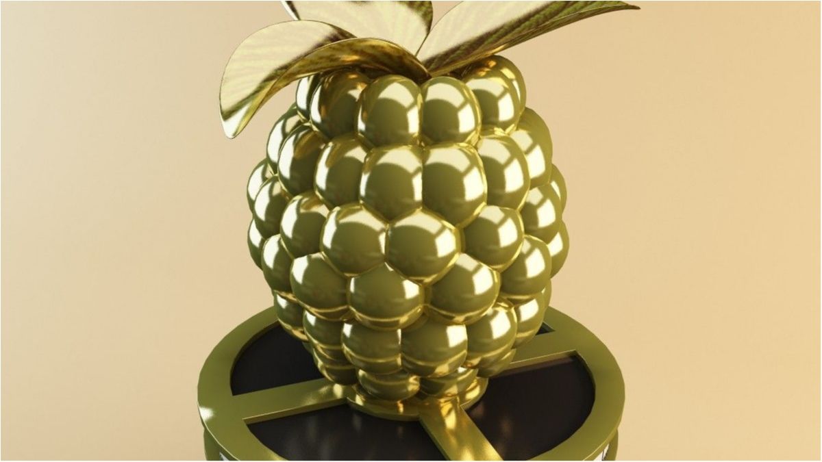 Оголошено номінантів антипремії "Золота малина"