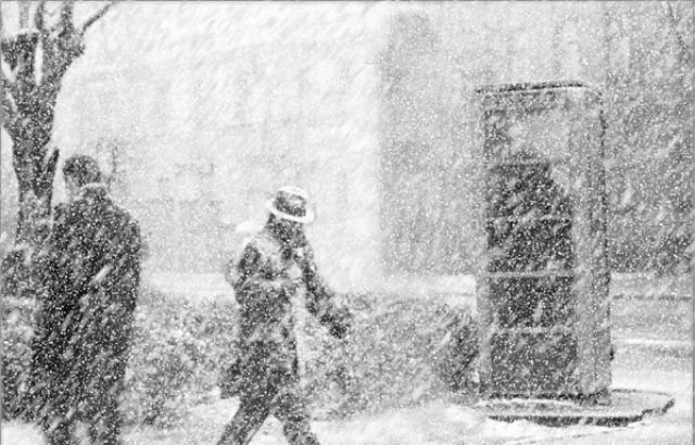 На Закарпатті через сильні снігопади закрили рух транспорту