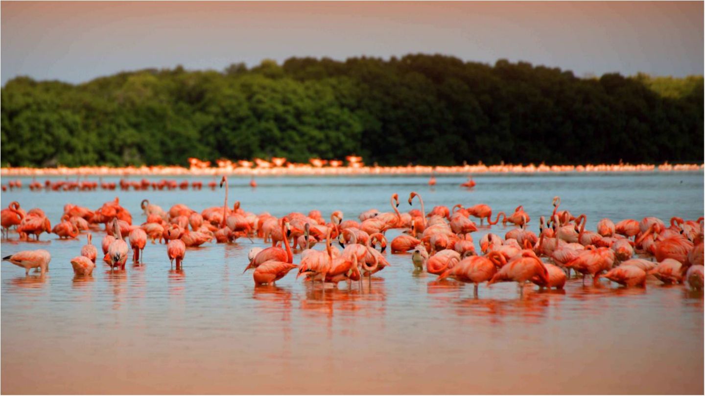 The Guardian назвала топ-напрямки 2017 року