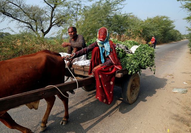 Як виглядають звичайні будні в Індії: вражаючі фото - фото 137036