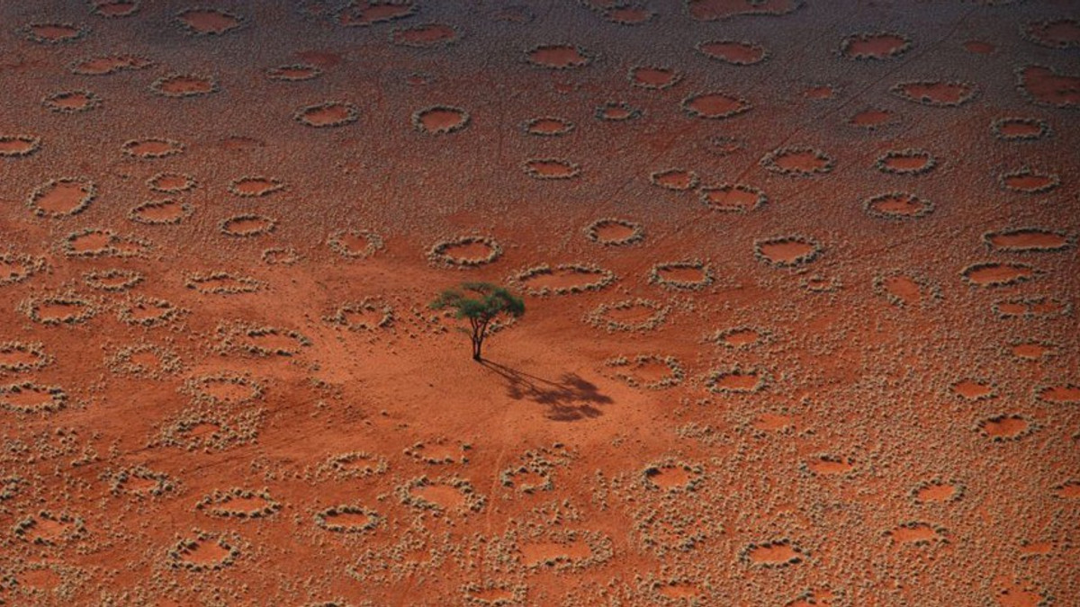 Пустеля в Намбії - фото 1