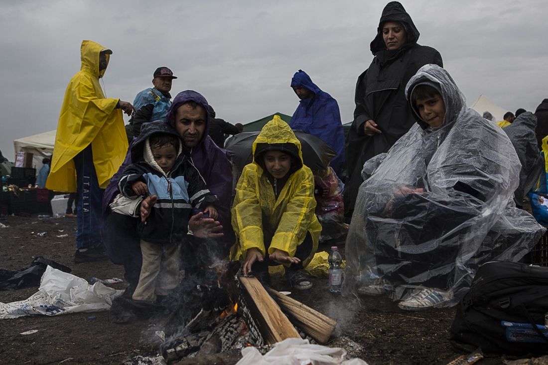 Трамп призупинив прийом багатьох біженців-мусульман у США