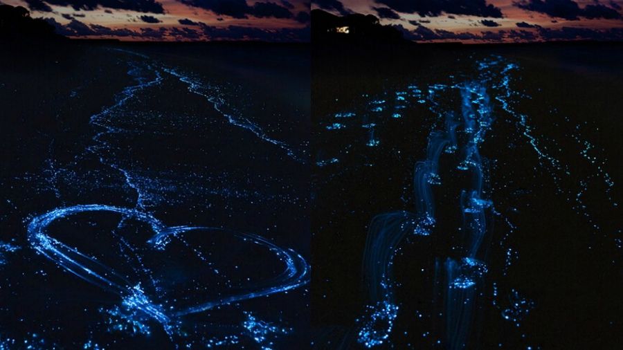 Vaadhoo - фото 1