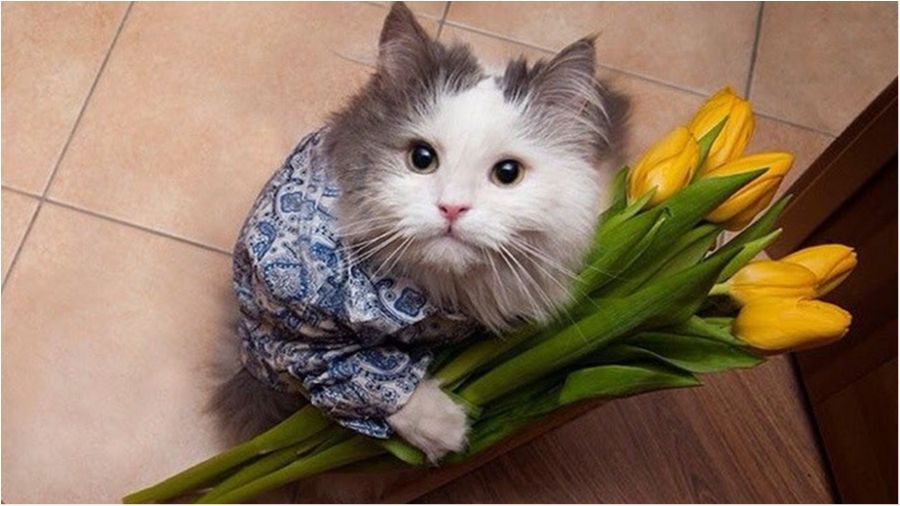 Іронія дня: Безжальна декомунізація вихідних