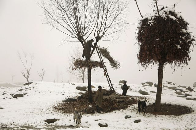 Як виглядають звичайні будні в Індії: вражаючі фото - фото 137030