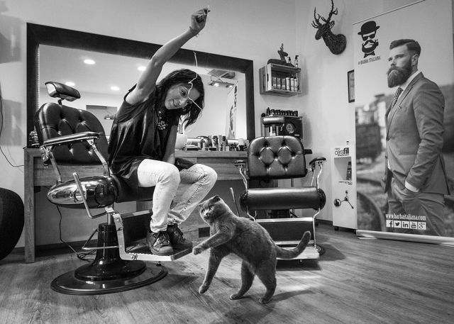 Кішки, які живуть поряд з людьми: унікальний фотопроект - фото 137805