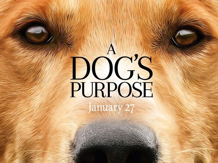 Universal скасувала прем'єру "Собачого життя": названо причину