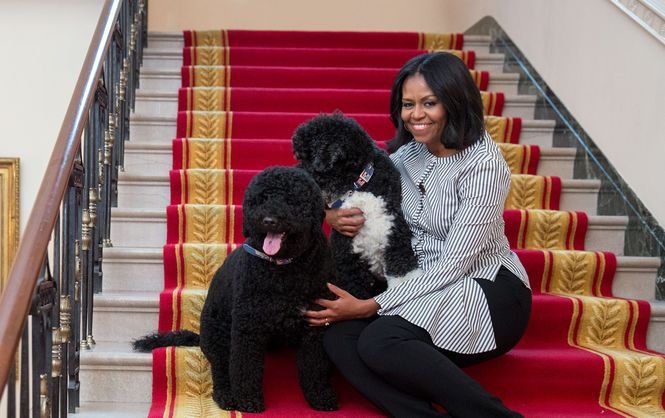 Мішель Обама зворушила мережу прощанням із Білим домом: відеофакт