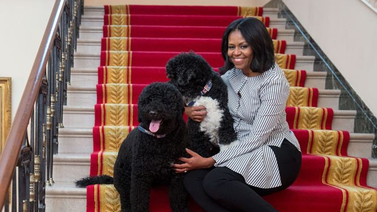 Мішель Обама з собаками Санні і Бо - фото 1