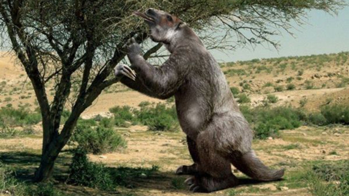 Науковці назвали причину вимирання стародавніх гігантських тварин - фото 1