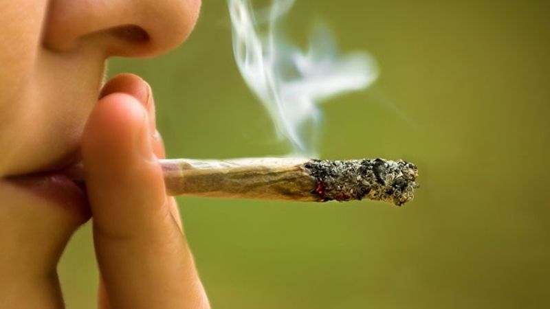 Марихуана - фото 1