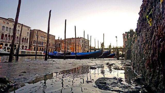 Венеція втратила воду: з’явилися нові фото висохлого міста - фото 131847