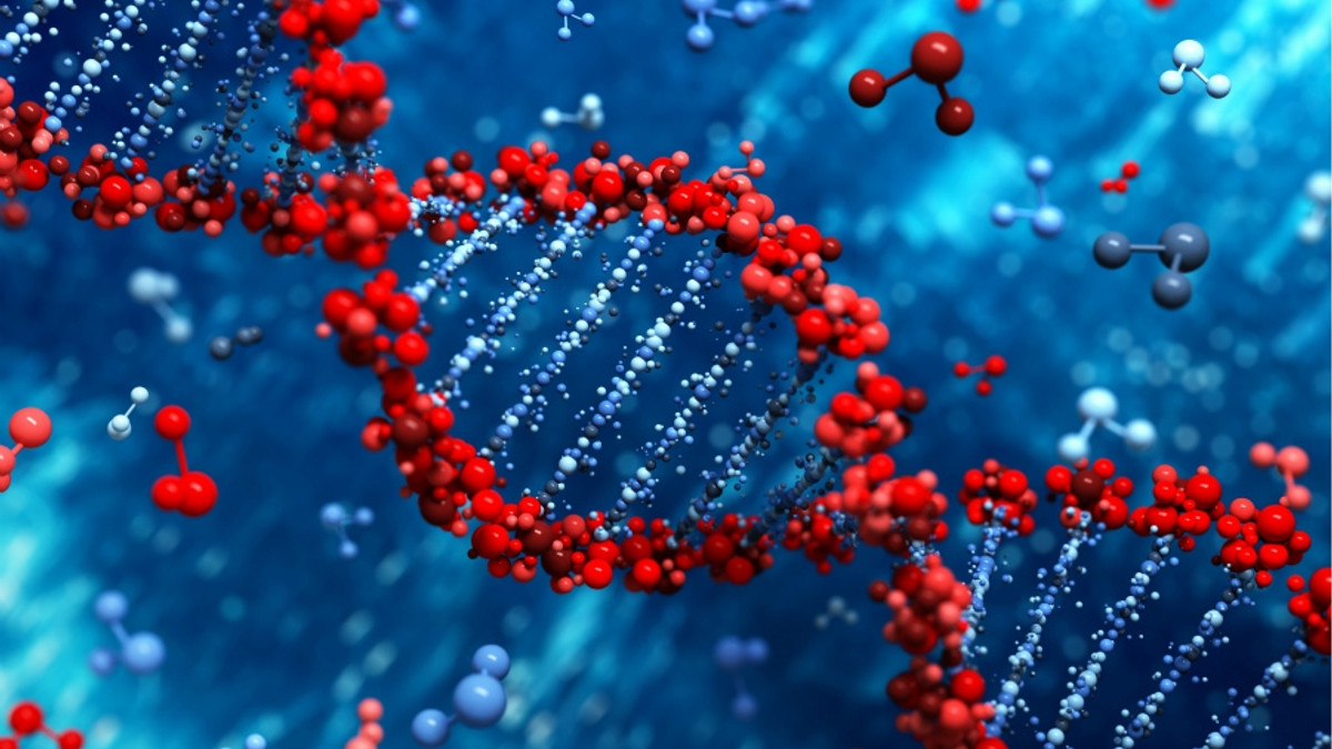 Молекули ДНК людей приховують загадковий текст - фото 1