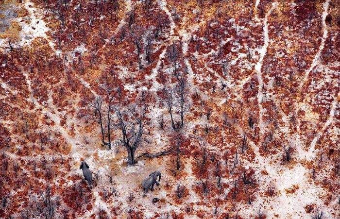 Як виглядає Африка із висоти пташиного польоту: ефектні фото