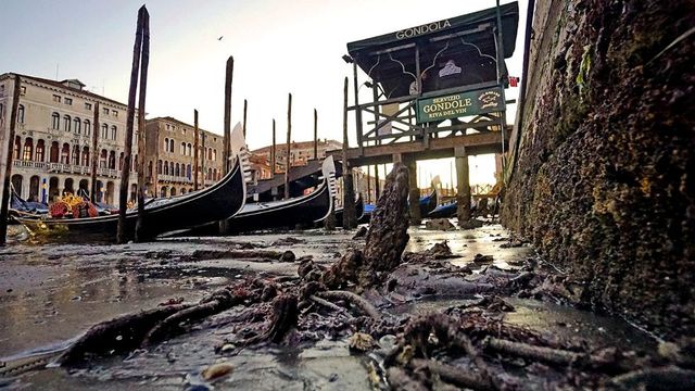 Венеція втратила воду: з’явилися нові фото висохлого міста - фото 131844