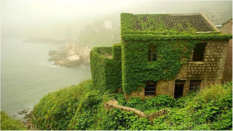 Плющ повністю поглинув риболовецьке село у Китаї