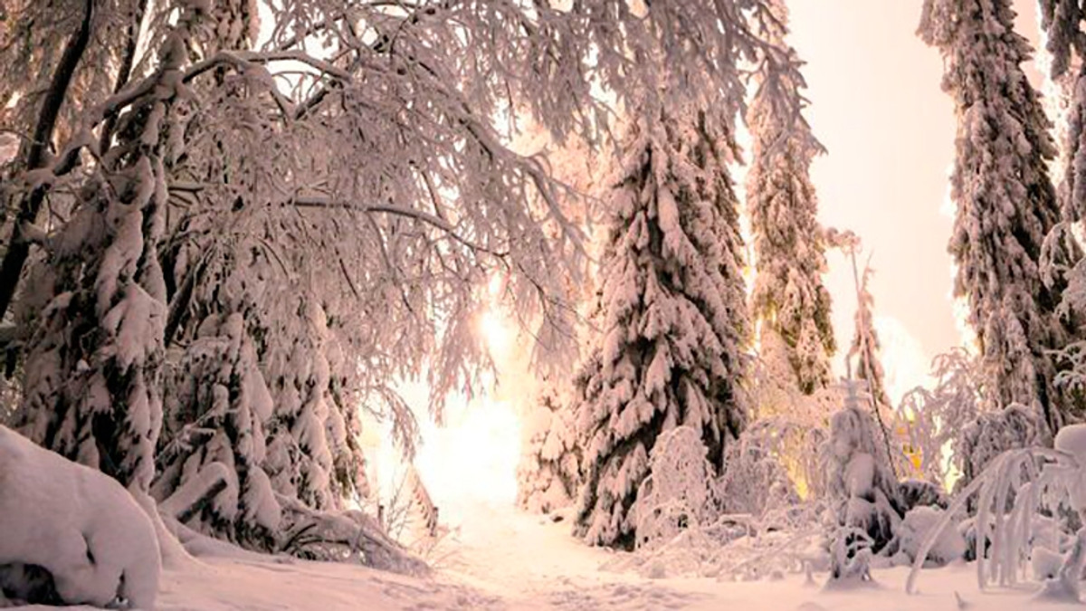 Сніг у Фінляндії - фото 1