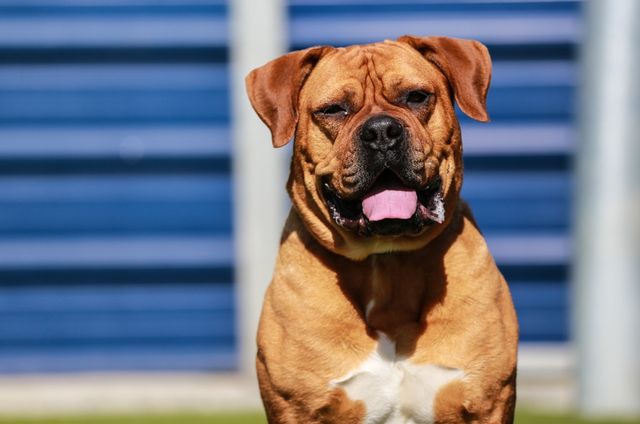 Якими фото не можна ділитися у соцмережах - фото 139937